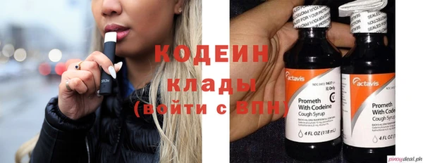 гашик Корсаков