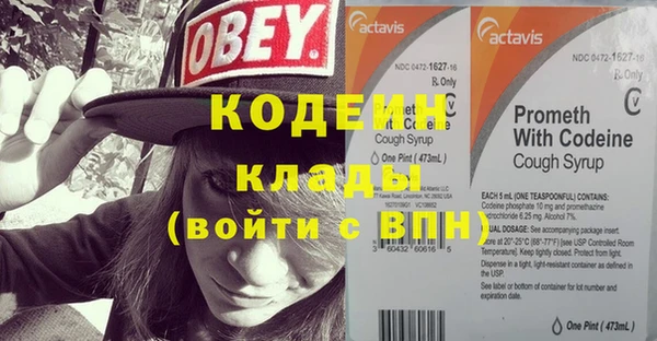ГАЛЛЮЦИНОГЕННЫЕ ГРИБЫ Кулебаки