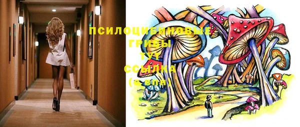 прущая мука Галич