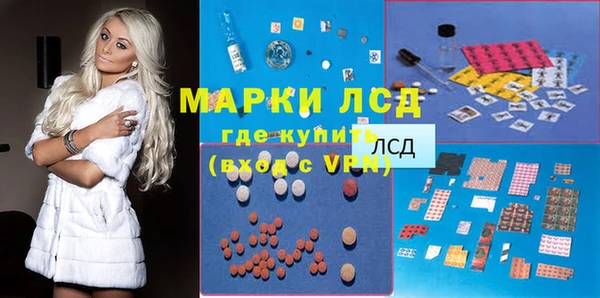 амф Ладушкин