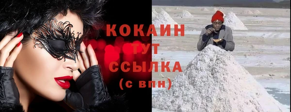 ГАЛЛЮЦИНОГЕННЫЕ ГРИБЫ Кулебаки