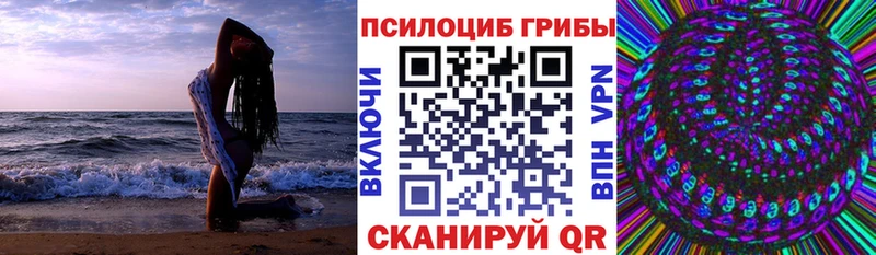 как найти наркотики  mega   Псилоцибиновые грибы мицелий  Лениногорск 
