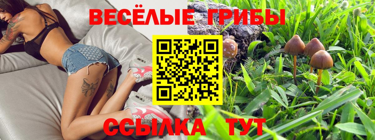 Псилоцибиновые грибы мухоморы Лениногорск