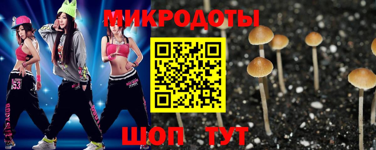 Лениногорск  Галлюциногенные грибы мицелий  Вход с VPN 